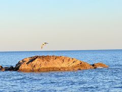 -北戴河东海水浴场