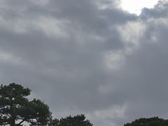 -京都御所