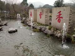 -香雪海