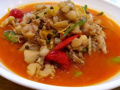 -杨氏青龙虾·羊蝎子(托乐嘉店)