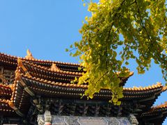 -东华门大街小区