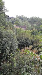 -成都飞越丛林探险乐园(锦绣城园区)