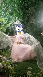 点击看大图 -金夫人婚纱摄影(衡阳店)