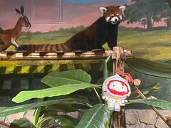 -绿色星球动物主题公园