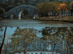 -顺峰山公园