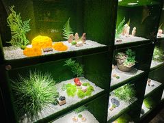 -慢丽江·云南野生菌土鸡锅(西山店)