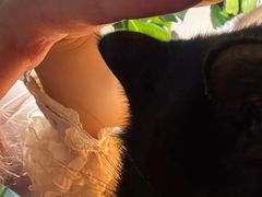 -李小姐の猫咖啡馆(五角场店)