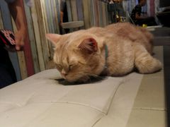 -小时光咖啡馆(开森度假森林店)