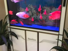 -华夏良子·足道SPA艾灸(三里屯店)