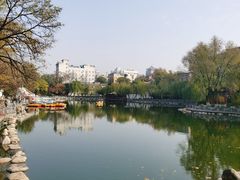 -莲湖公园