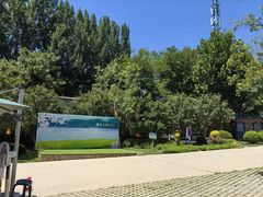 -静之湖湖畔餐厅