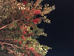 -南济州郡