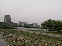 -尚贤河湿地