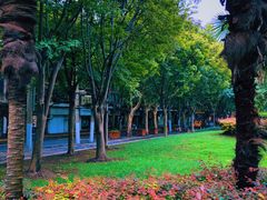 -Feiyue飞跃(长乐路店)