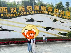 -西双版纳原始森林公园