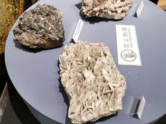 -布拉戈维申斯克