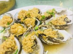 -渡海小渔村.老辈日照菜
