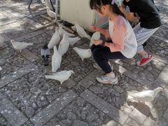 -昆明动物园