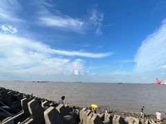-上海滨江森林公园