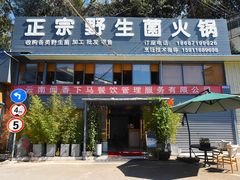 -鲜菌江湖正宗野生菌火锅