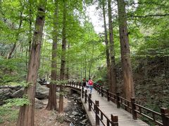 -国家植物园南园