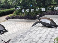 -广东惠东海龟国家级自然保护区