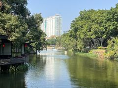 -荔湾湖公园