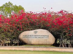 -中国科学院西双版纳热带植物园