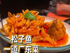 -羽鸽集·乳鸽专门店·地道顺德菜(岭南站店)