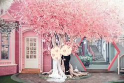 -施华洛婚纱摄影会所(范阳中路店)