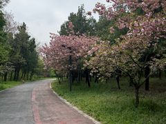 -江苏三台山国家森林公园