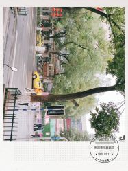 -南京市儿童医院(广州路院区)