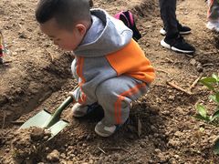 -前小桔亲子创意农场·草莓采摘·露营烧烤