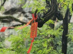 -泰山风景名胜区