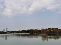 -海珠湖公园