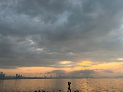 -深圳湾公园(南山区)