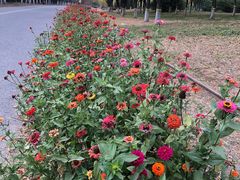 -永定河休闲森林公园