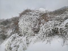 -鳌山滑雪度假区