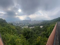 -金鸡山公园