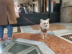 -埃马努埃莱二世拱廊