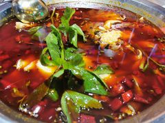 -蛙一刀·麻椒鱼火锅(金仙桥店)