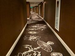 -拉斯维加斯永利酒店