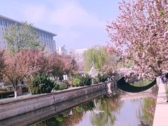 -元大都城垣遗址公园