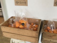-柑橘农场