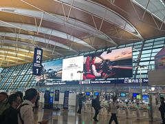 -上海浦东国际机场-T2航站楼