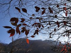 -牛背梁国家森林公园