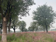 -汉长安城未央宫国家考古遗址公园