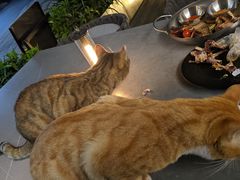 -叁 Three· bistro餐酒馆