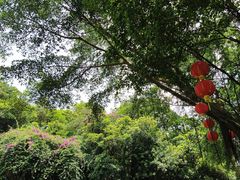 -西樵山风景名胜区-天湖公园