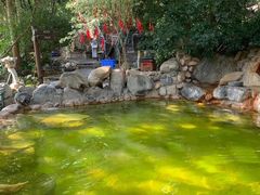 -湖泉半山温泉(湖泉生态园)